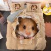 Hamster #1