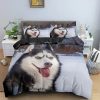 Husky #1