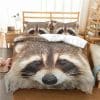 Raccoon #1