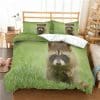 Raccoon #2
